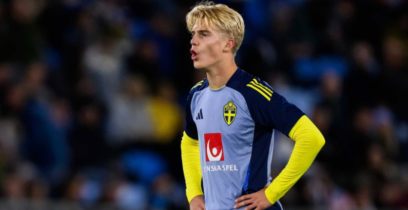 布朗提供了 布朗提供了