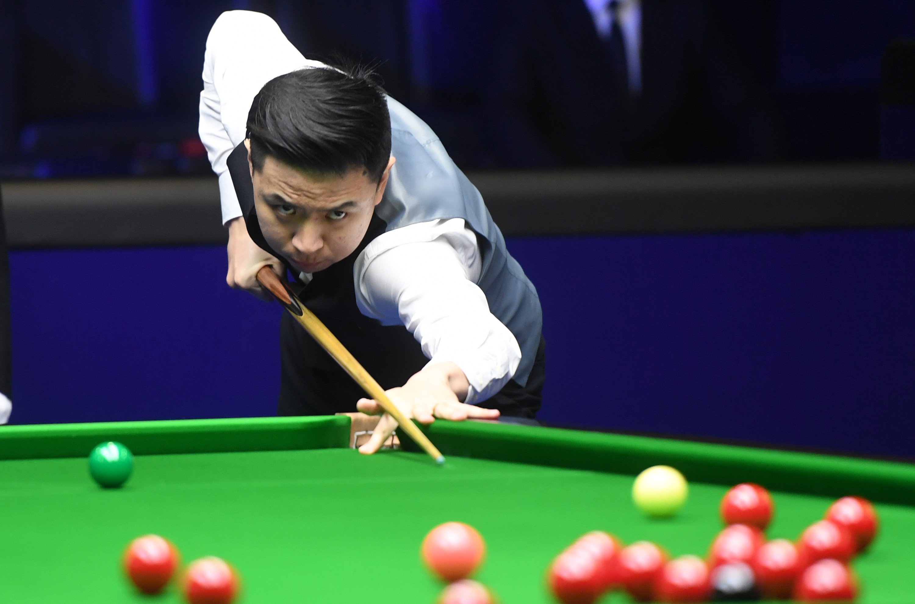 供了宝贵的 供了宝贵的