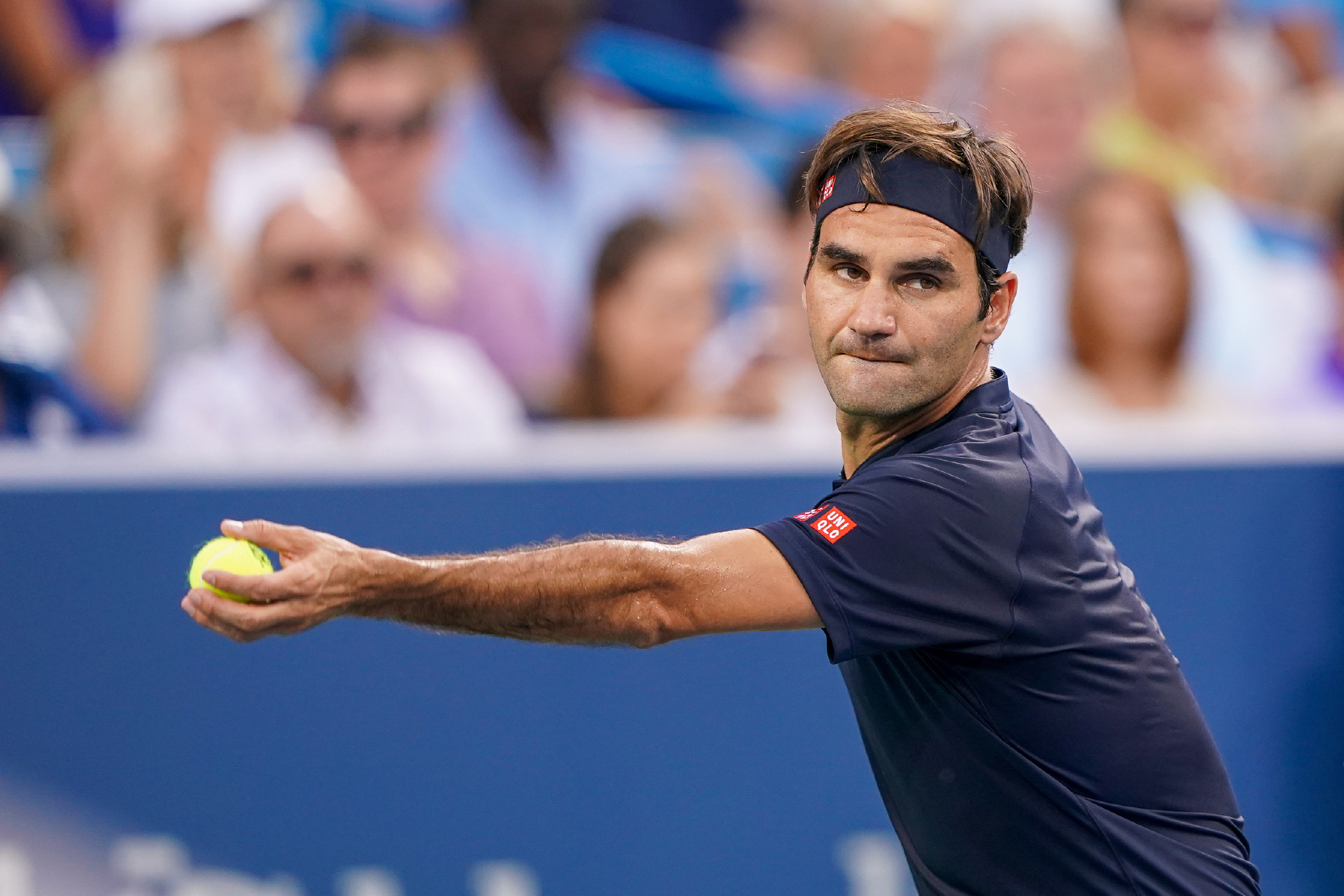 能力的帕鲁 能力的帕鲁